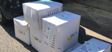 Emergenza coronavirus: Arpacal dona dispositivi di protezione agli Ospedali di Cosenza e Catanzaro