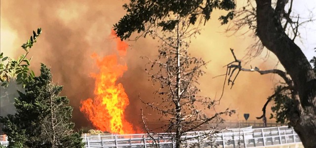 Incendio colline a Catanzaro, Anas dispone chiusura temporanea strade