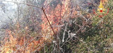Divampato vasto incendio di arbusti, 15 unità dei Vigili sul posto