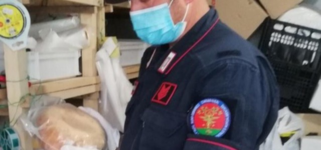 Sequestrato caseificio artigianale abusivo