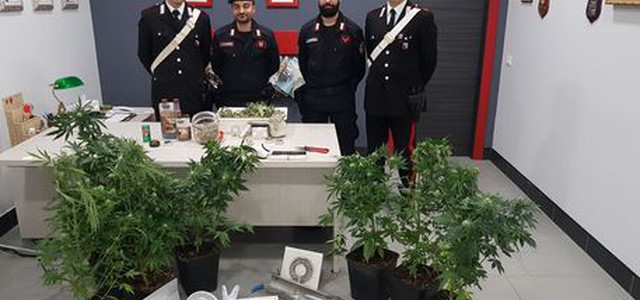 Coltivata droga in sottotetto, arrestato