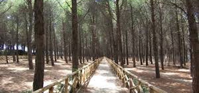 LEVATO: “BENE SCELTA DEL SINDACO DI REGOLARE L’ACCESSO ALLA PINETA DI GIOVINO, IMPEGNARE RISORSE PER SORVEGLIANZA CONTINUA DELL’AREA DURANTE  L’ESTATE”