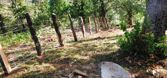Denunciato imprenditore per aver invaso un terreno comunale