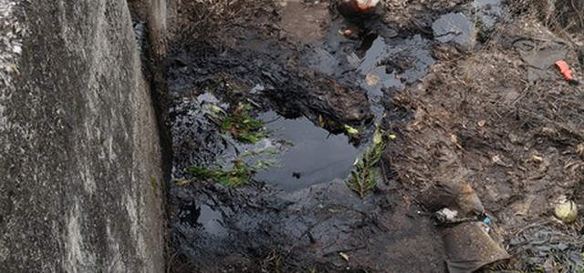 Ambiente: sequestrati tre frantoi