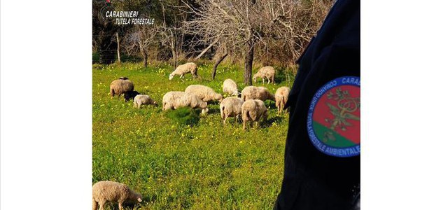 Gregge su fondi privati, una denuncia