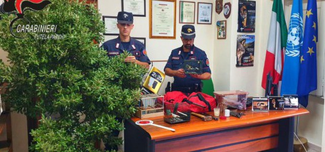 Sorpresi a praticare uccellagione, due denunce nel Cosentino