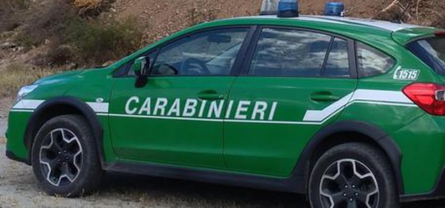 Abbandonano rifiuti in aree del Parco della Sila, sanzionati