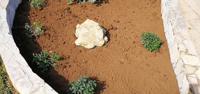 Alcune delle fontanelle presenti sul lungomare diventano aiuole