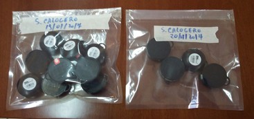 Gas radioattivi nel vibonese, avviato il monitoraggio da parte dell' Arpacal 