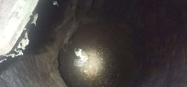 Gattino cade in un pozzo, salvato dai vigili del fuoco (FOTO)