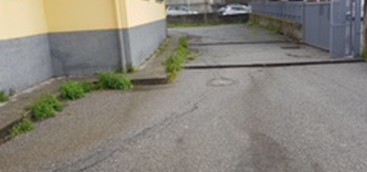 Costanzo e Rotundo: "Stato abbandono plesso Sala Campanella ha raggiunto il culmine"