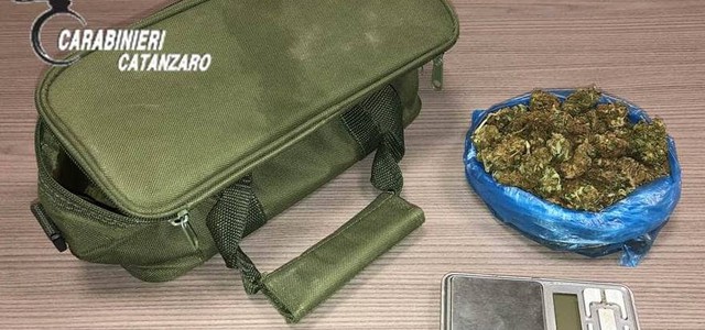 Cane anti - droga “Akim” in azione, un arresto nel Catanzarese