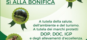 Tante adesioni alla “marcia” sulla 106, promossa dai Comitati del Basso Ionio