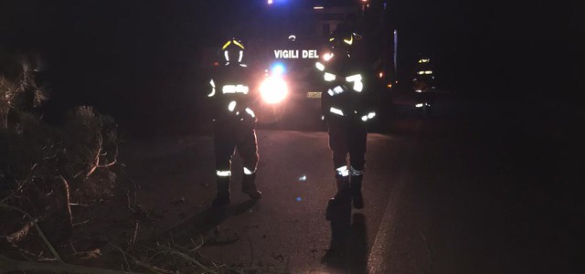 Alberi divelti dal forte vento e incendio boschivo nel Catanzarese (FOTO)