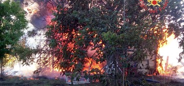 Fiamme alte nella zona su di Catanzaro, bruciati arbusti e macchia mediterranea