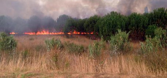 Vigili fuoco volontari appiccavano roghi