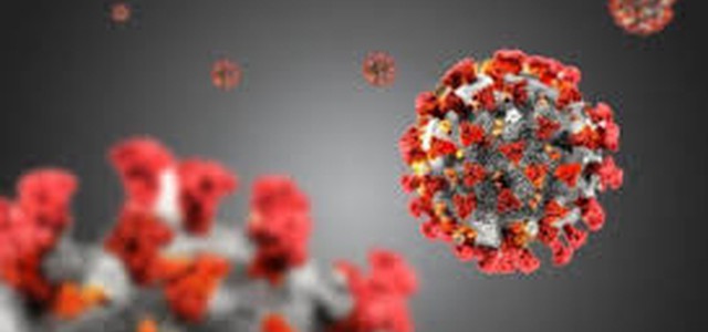 Coronavirus, 4 contagiati in più oggi