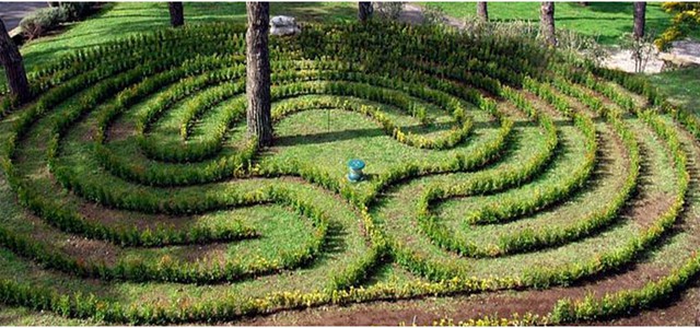 ASP CZ, Lamezia Terme: inaugura il "Giardino dei pensieri Ritrovati" area verde del Servizio di Psichiatria