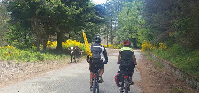 In Aspromonte il cicloraduno organizzato da FIAB Roma Ruotalibera