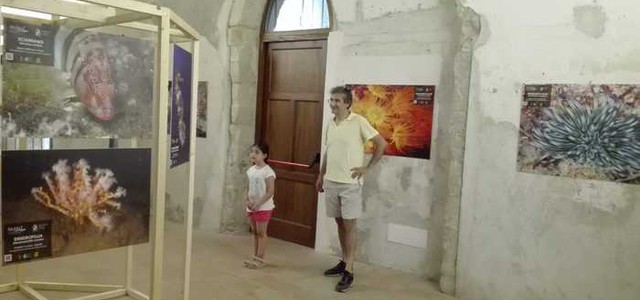 In fondo al mare - la biodiversità del Tirreno in mostra a Tropea
