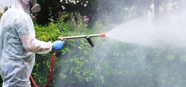 DISINFESTAZIONE , NELLA NOTTE FRA MERCOLEDI’ 19 E GIOVEDI’ 20 GIUGNO INTERVENTO STRAORDINARIO VOLUTO DAL SINDACO ABRAMO  IN TUTTO IL QUARTIERE LIDO