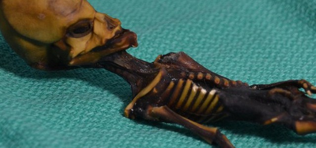 L''alieno' di Atacama è un feto umano