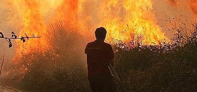 Lotta incendi boschivi: convenzione tra Vigili del Fuoco e Calabria Verde