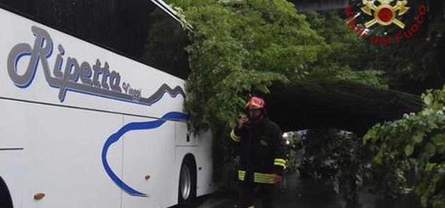 Cade albero su bus di turisti a Firenze, almeno 5 feriti