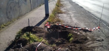 Riccio: "via Conti Falluc, alla fine la montagna partorì spelacchietto . . . "