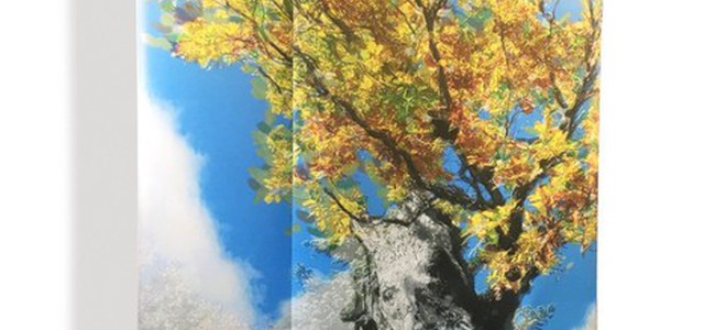Quercia di mille anni dell'Aspromonte diventa opera d'arte