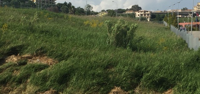 Diserbo, Gironda chiede intervento Provincia a Cavita