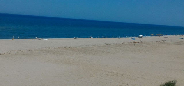 Stop immediato a ruspe e trattori per spianamento spiagge: a rischio la vita delle tartarughe marine