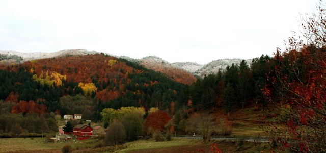 Il Parco Nazionale della Sila al fianco della popolazione e del sindaco  di Cotronei