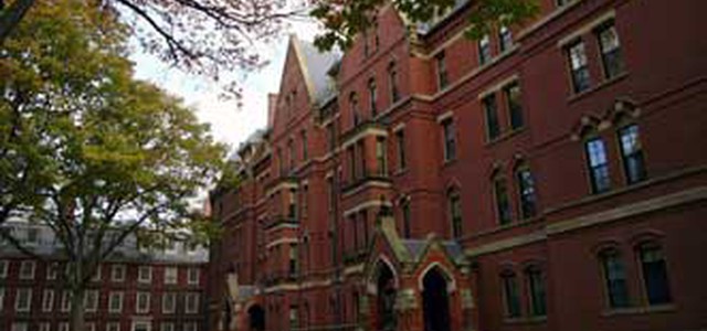 Viscomi: Università di Harvard interessata al MuSaBa di Nik Spatari