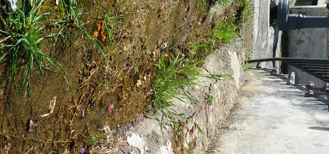 Una perdita idrica nel cimitero urbano di via Paglia