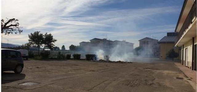 Appicca incendio a sterpaglie, denunciato