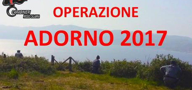 Bracconaggio, al via Operazione Adorno