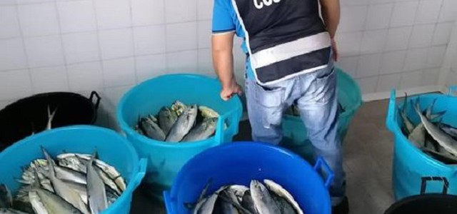 Pesca frodo, sequestrato prodotto ittico