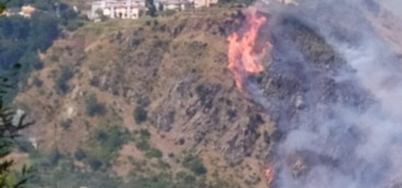 Fiamme in prossimità del centro abitato nel Catanzarese (FOTO)