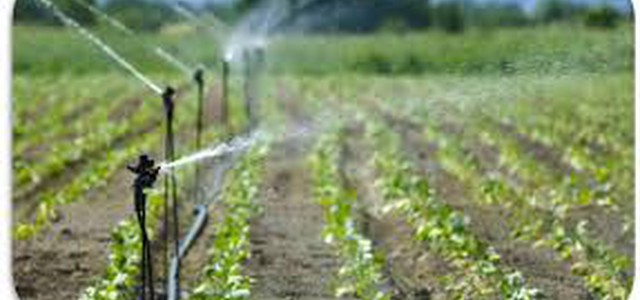 Coldiretti allarme acqua per l’irrigazione nel crotonese, la situazione sta per esplodere: politica e burocrazia regionale non programmano e scrollano le spalle
