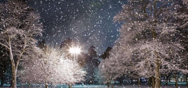 Arriva la prima neve di stagione in Sila (VIDEO)