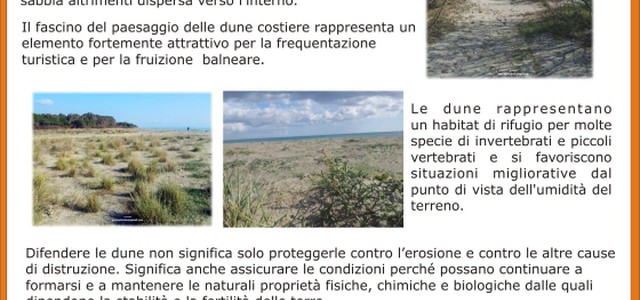 Al via il progetto partecipativo "Sos dune"