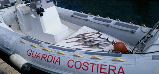 Sequestrati 8 quintali di prodotto ittico
