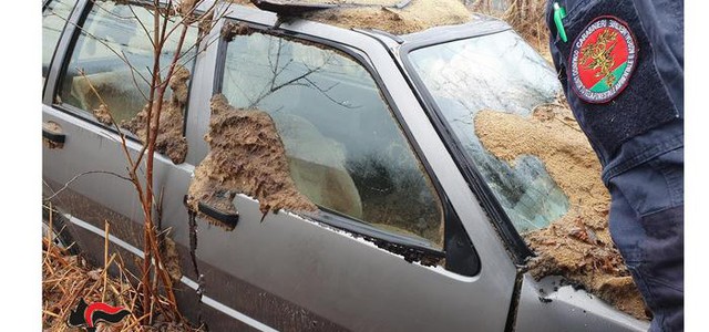 Carcasse di auto abbandonate tra la vegetazione, 29 mila euro di multa ai proprietari