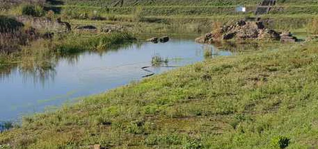 Allagato Parco archeologico di Sibari