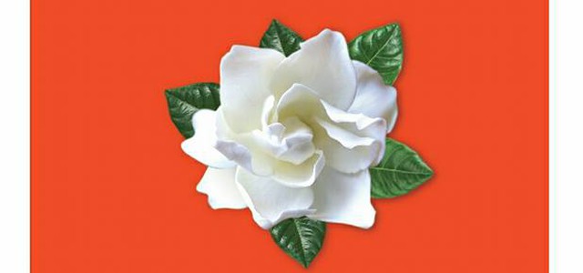 Per la Festa della Donna torna la Gardenia di AISM