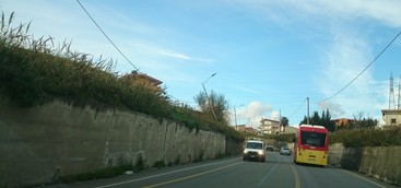 Pali della luce pericolanti in Via dei Tulipani