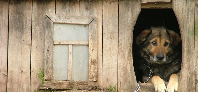 INCENDI, LA CALABRIA TRA LE REGIONI PIU' COLPITE IN ITALIA SECONDO I DATI ISPRA.