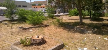 Celia: con tutte le tasse che paghiamo i giardini pubblici dovrebbero essere funzionanti