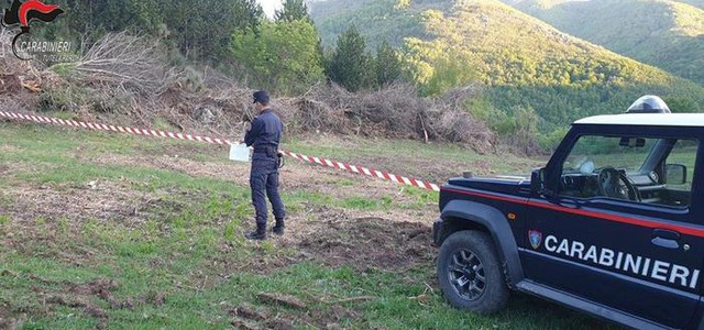 Taglio abusivo di alberi, sequestrato fondo e una denuncia